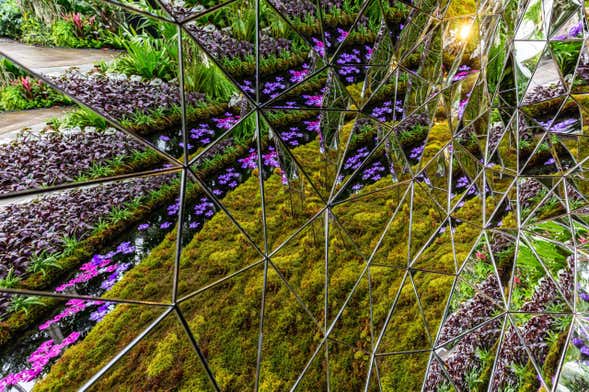 Biglietti per il Giardino botanico di New York