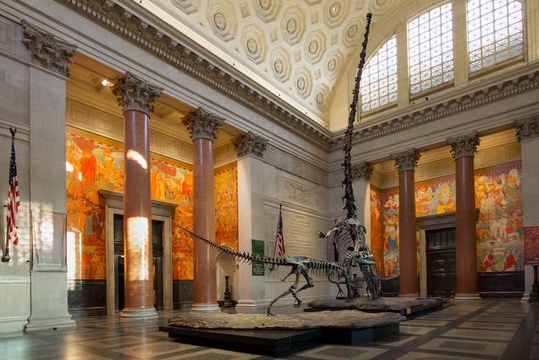 Esplorando il Museo Americano di Storia Naturale