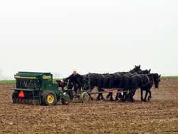 Comunità Amish di Lancaster, aratro tradizionale