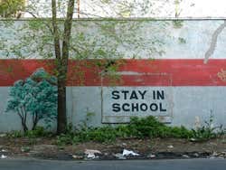 Bronx