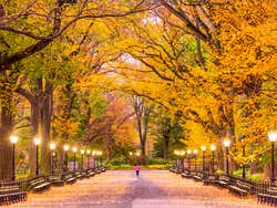Central Park in autunno