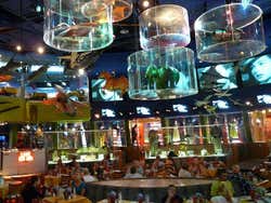 Ristorante Planet Hollywood New York