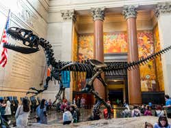 Scheletro di t-rex nel museo di storia naturale