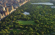 Guida di New York