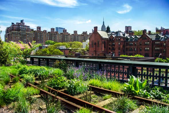 Tour di High Line e Hudson Yards