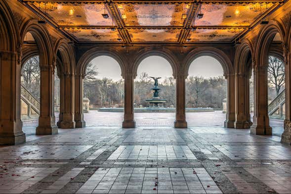 Tour del cinema a Central Park